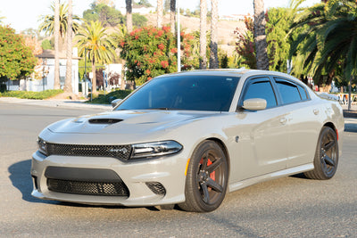 Why is the Dodge Charger so popular?