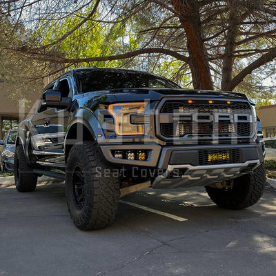 Unleashing Power: A Closer Look at the Ford F-150 and F-150 Raptor