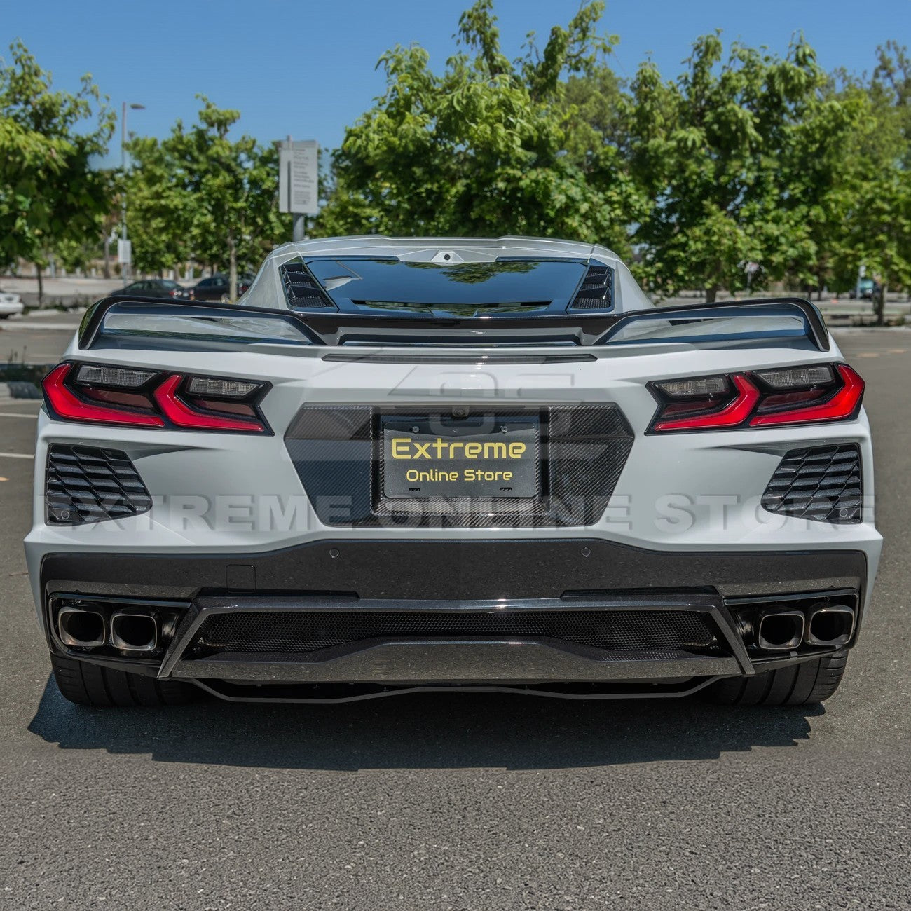 Corvette C8 License Plate Backing