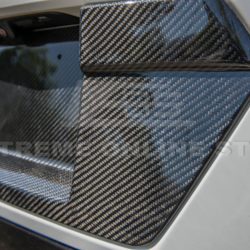Corvette C8 DRY CARBON FIBER License Plate Backing