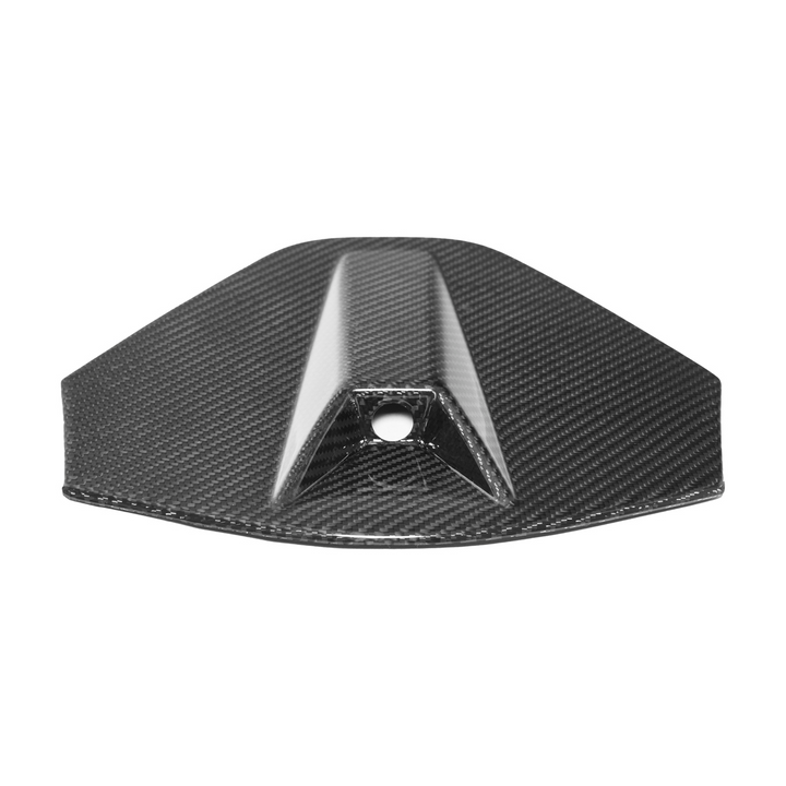 Corvette C8 Coupe DRY CARBON FIBER Rear Decklid Camera Cover