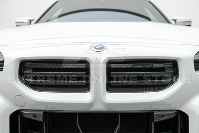 2023-Up BMW G87 M2 Upper Grille