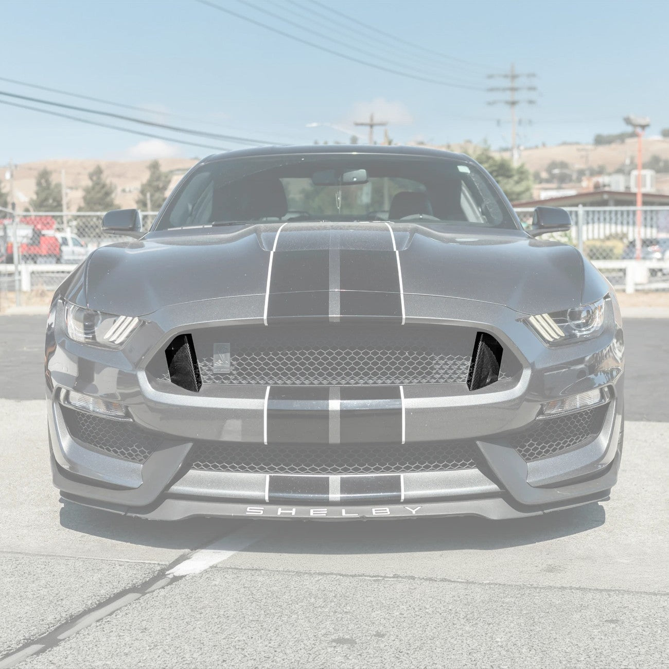 2015-20 Ford Mustang Shelby GT350 DRY Carbon Fiber Front Upper Grille Inserts Pair