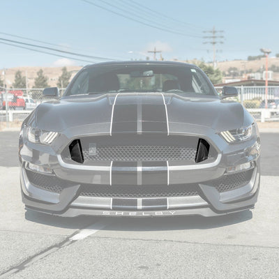 2015-20 Ford Mustang Shelby GT350 DRY Carbon Fiber Front Upper Grille Inserts Pair