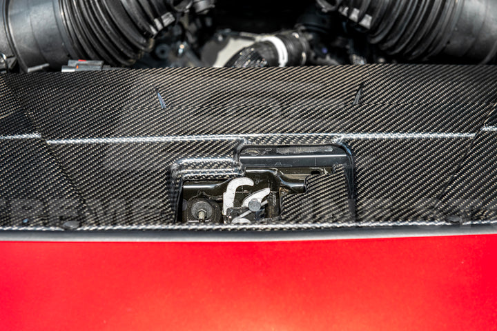 2024+ Ford Mustang DRY CARBON FIBER Radiator Cover