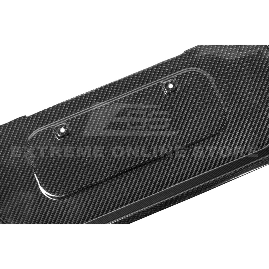Corvette C8 Z06 DRY CARBON FIBER License Plate Backing