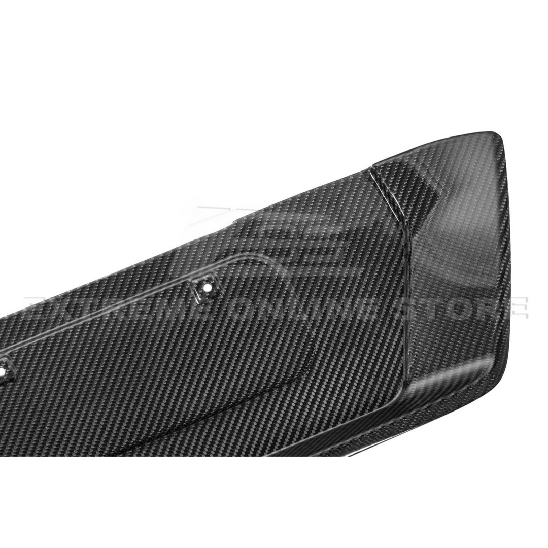 Corvette C8 Z06 DRY CARBON FIBER License Plate Backing