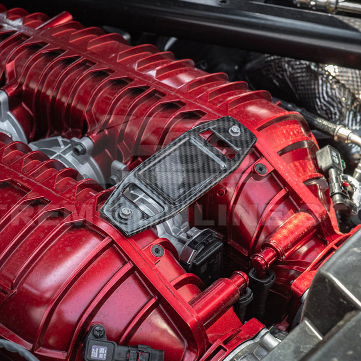 Corvette C8 Z06 DRY CARBON FIBER Engine Bay Builder Plaque
