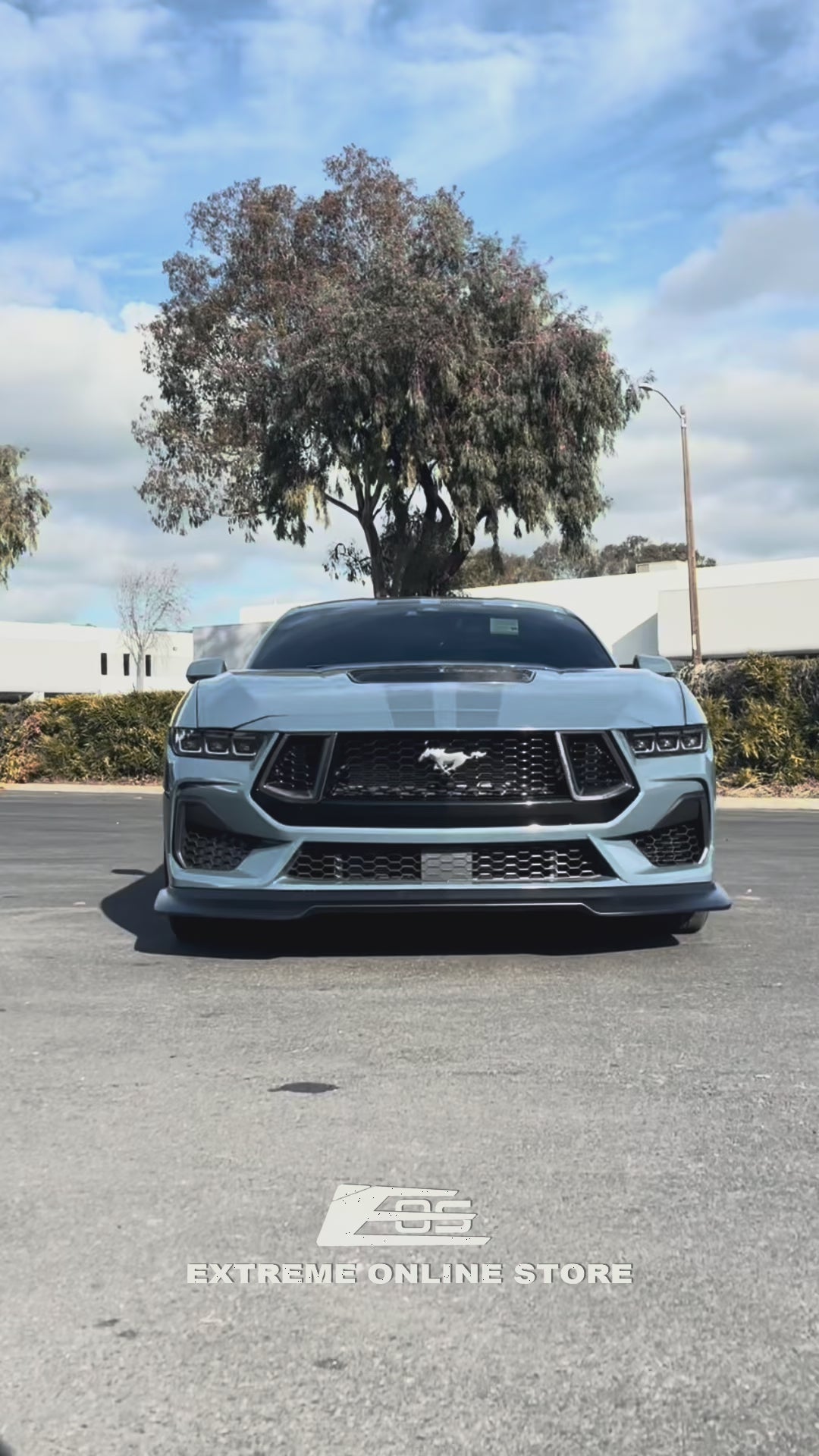 2024+ Ford Mustang GT DRY CARBON FIBER Front Side Grille Inserts