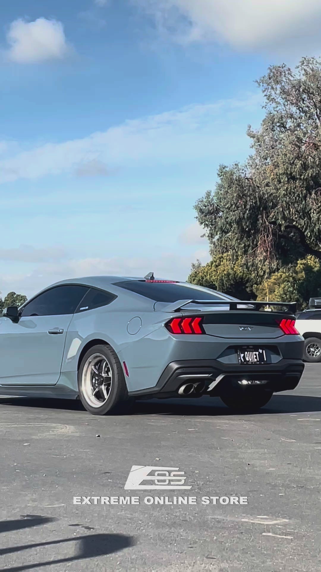 2024+ Ford Mustang DRY CARBON FIBER Tail Light Cover
