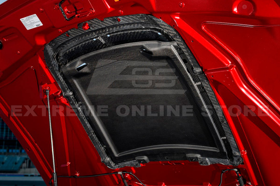 2020-23 Ford Mustang GT500 DRY Carbon Fiber Rain Tray Cover