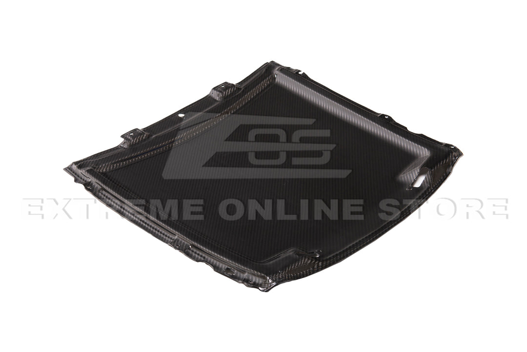 2020-23 Ford Mustang GT500 DRY Carbon Fiber Rain Tray Cover