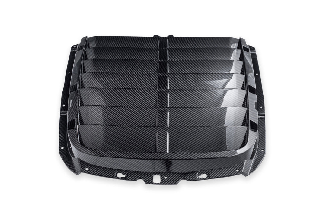2020-23 Ford Mustang GT500 DRY Carbon Fiber Front Hood Vent &amp; Rain Tray Cover