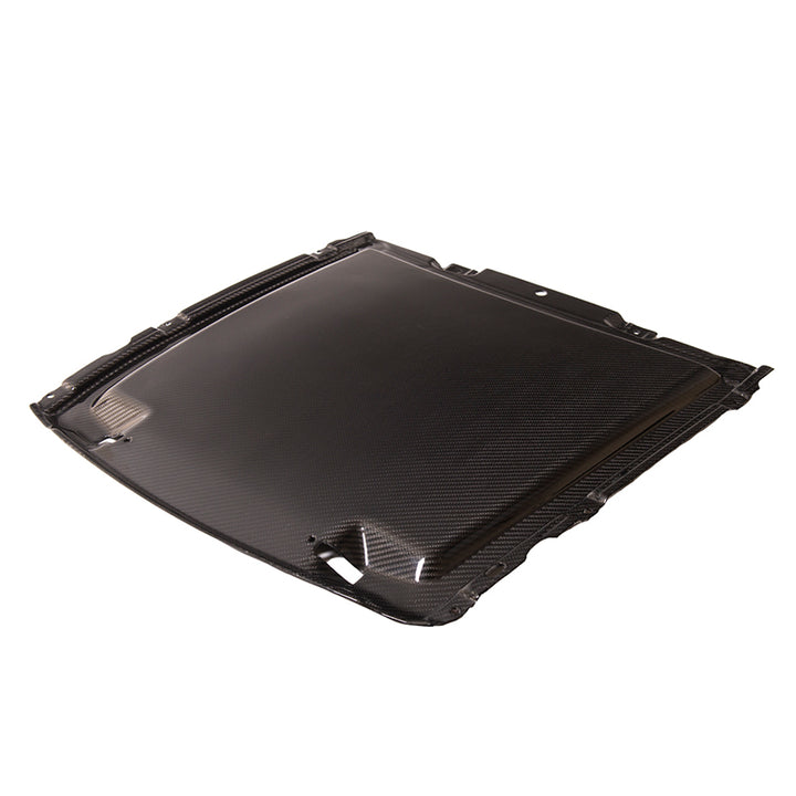 2020-23 Ford Mustang GT500 DRY Carbon Fiber Rain Tray Cover