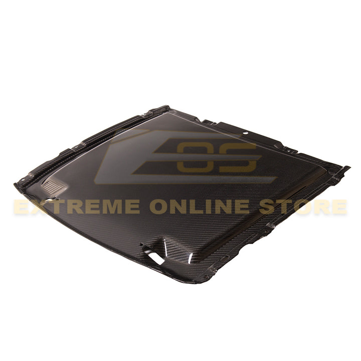 2020-23 Ford Mustang GT500 DRY Carbon Fiber Rain Tray Cover