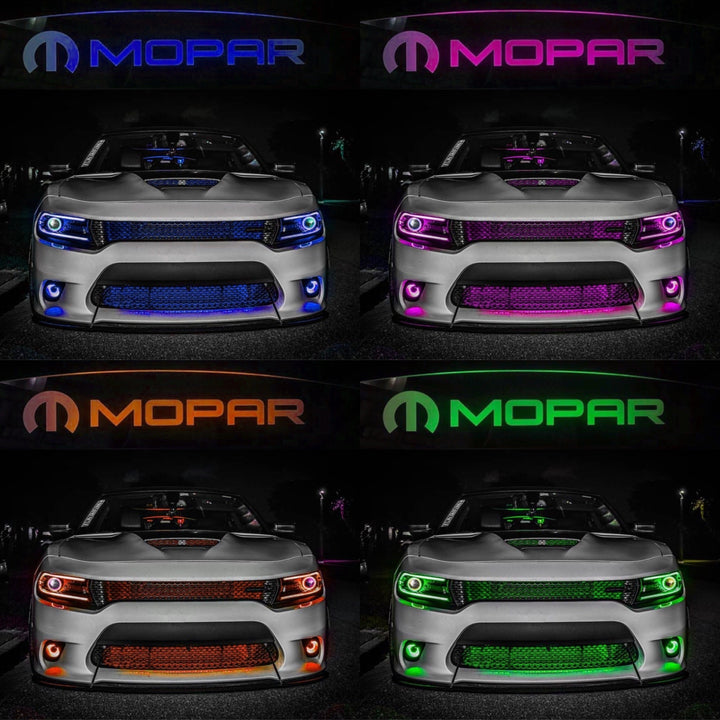 WindRestrictor® 2006-Up Dodge Charger Rear Add On Glow Plate